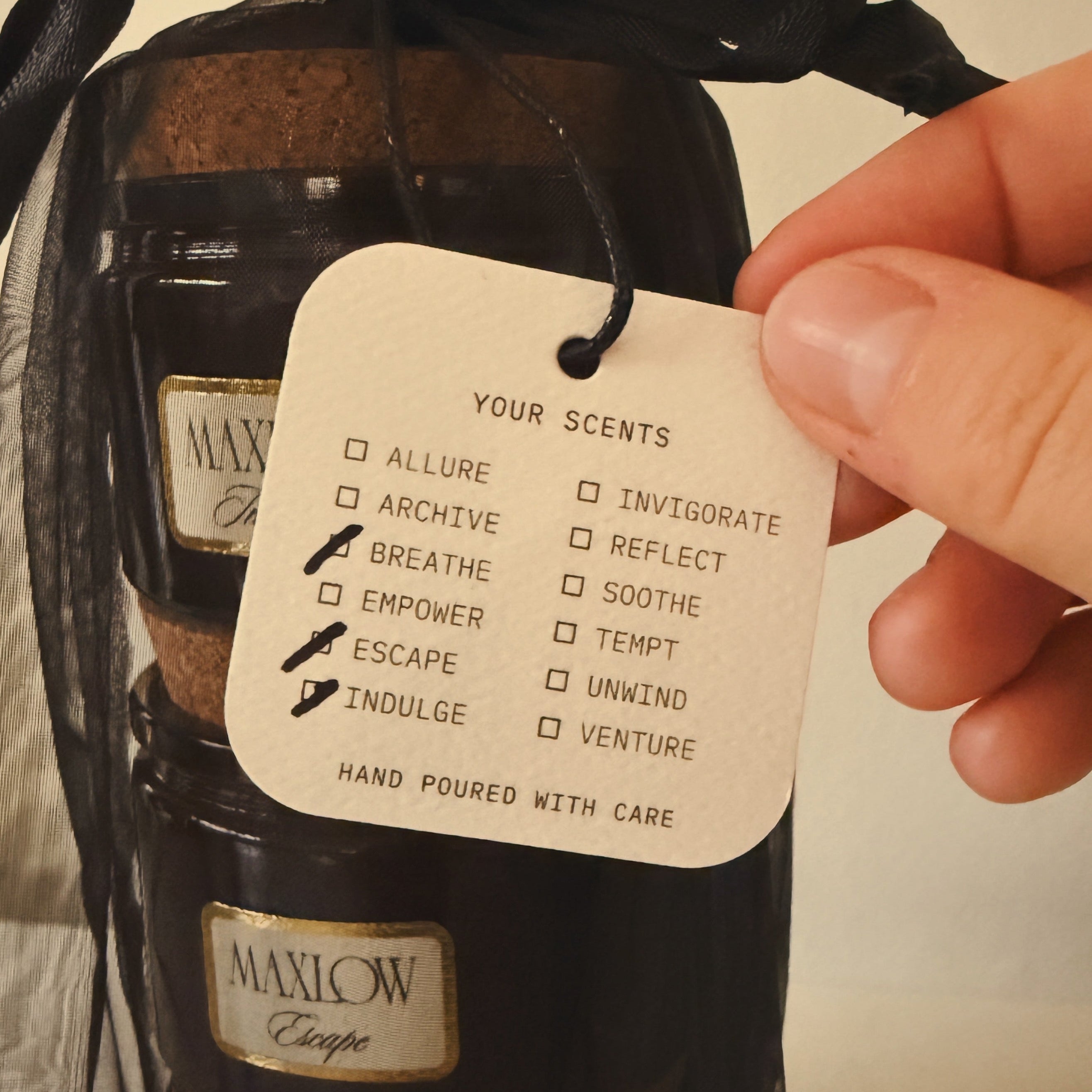 Discovery Set - Custom